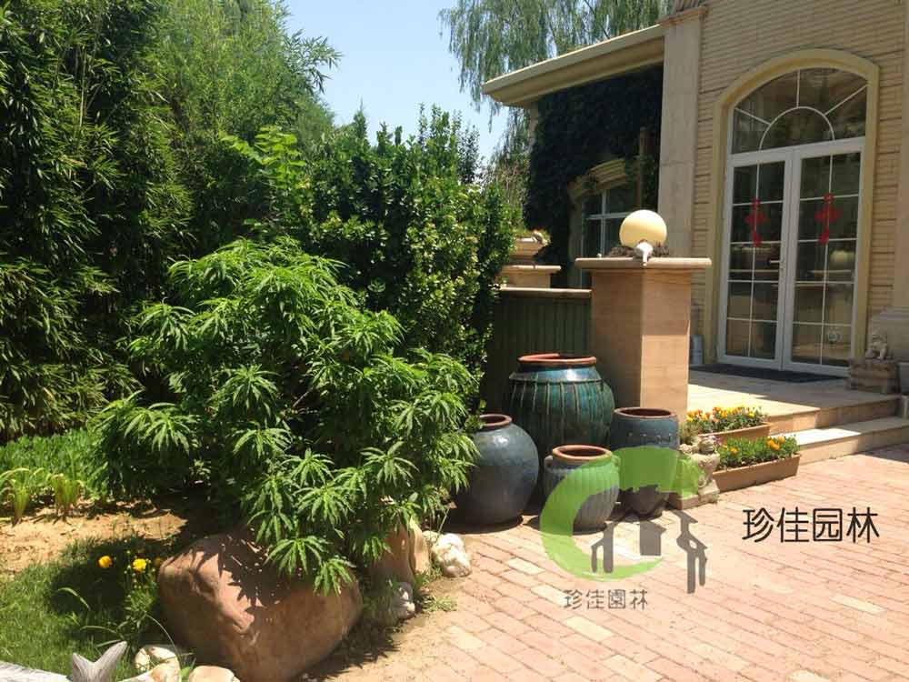 HTH官网登录网址入口