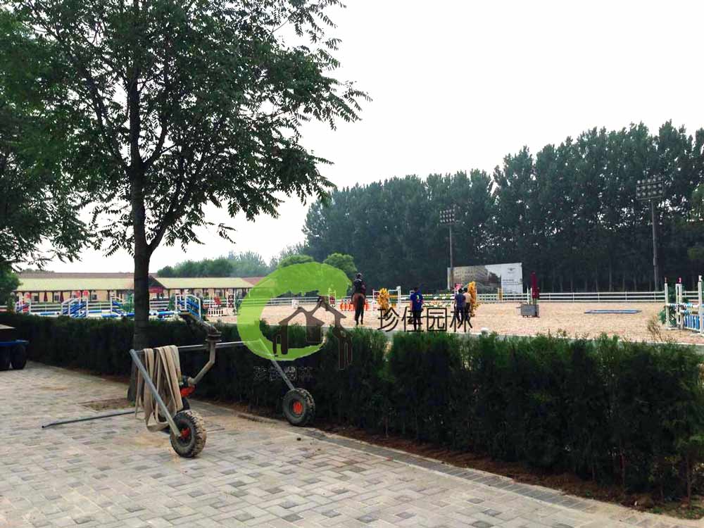 HTH官网登录网址入口